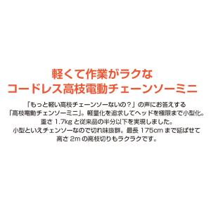 ヤードフォース コードレス 高枝電動チェーンソ...の詳細画像2