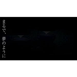ハイブリッド 真空管 オーディオシステム MK...の詳細画像3