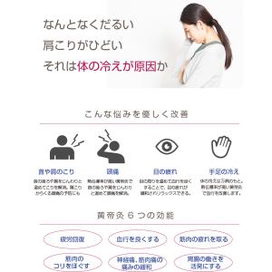 (クーポンで3000円OFF) 電気温灸器 黄...の詳細画像2