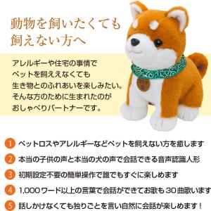 【ポイント10倍・1000円OFFクーポン】 ...の詳細画像2