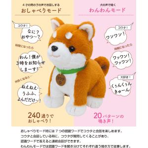 【ポイント10倍・1000円OFFクーポン】 ...の詳細画像3
