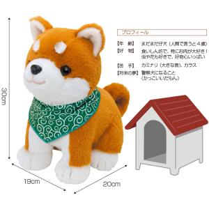 【ポイント10倍・1000円OFFクーポン】 ...の詳細画像4
