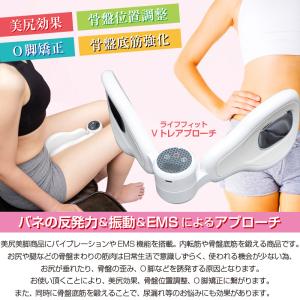 ライフフィット Vトレアプローチ ( LIFE...の詳細画像1