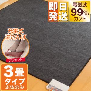 ゼンケン 【クーポンで4500円OFF】 電磁波カット 一人用 電熱マット