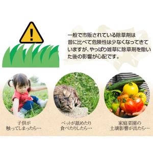 除草剤 安全 草とりバイオくん 2本組 根まで...の詳細画像2