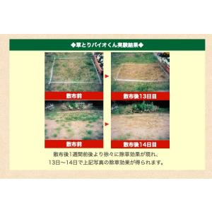 除草剤 安全 草とりバイオくん 2本組 根まで...の詳細画像5