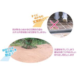 固まる土 魔法の土 カチカチ君 1袋 ( カチ...の詳細画像3