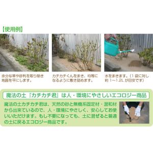 固まる土 魔法の土 カチカチ君 1袋 ( カチ...の詳細画像4