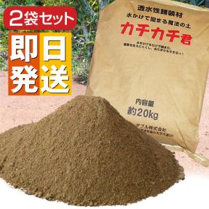 固まる土 魔法の土 カチカチ君 2袋 ( カチカ...の商品画像