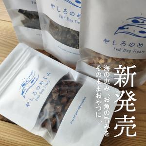 お魚キューブ 選べる4種類55g サメ マグロ...の詳細画像1
