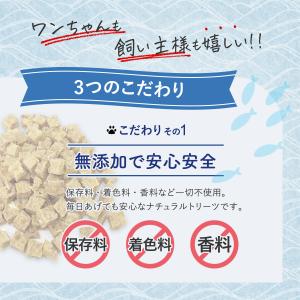 お魚キューブ 選べる4種類55g サメ マグロ...の詳細画像2