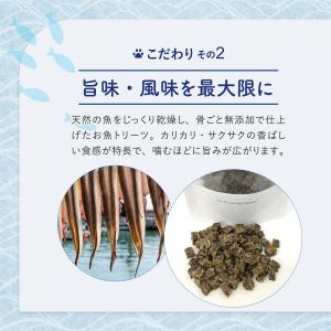 お魚キューブ 選べる4種類55g サメ マグロ...の詳細画像3