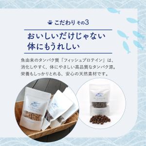 お魚キューブ 選べる4種類55g サメ マグロ...の詳細画像4