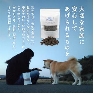 お魚キューブ 選べる4種類55g サメ マグロ...の詳細画像5