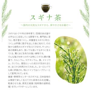 スギナ 国産 100% パウダー 200g(1...の詳細画像2