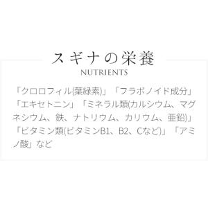 スギナ 国産 100% パウダー 200g(1...の詳細画像4