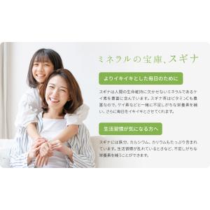 スギナ(国産) 100% パウダー 50g サ...の詳細画像5