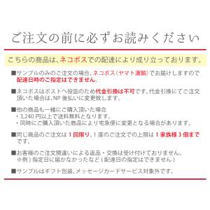 キダチアロエ 静岡県産 100% パウダー 2...の詳細画像2