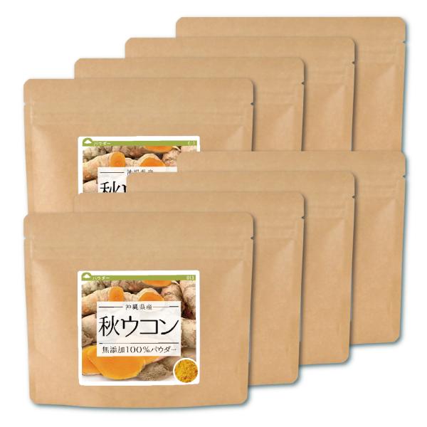 秋ウコン 沖縄県産 100% パウダー 640g（80g×8個）ウコン茶 ウコン粉末 粉末 うこん健...