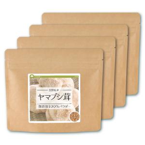 チャーガ ロシア産 100% パウダー 80g×4個 チャガ茶 チャーガ茶 粉末