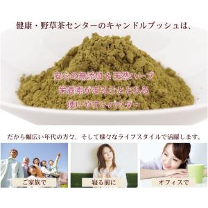 キャンドルブッシュ(インド産) 無添加 100...の詳細画像4