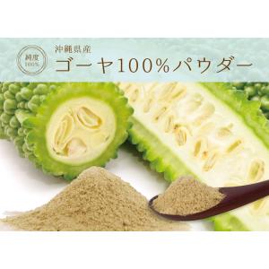 ゴーヤ 沖縄県産 100% パウダー 140g...の詳細画像1