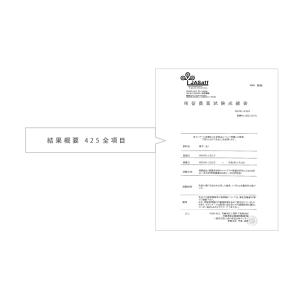 菊芋 国産 100%パウダー 80g イヌリン...の詳細画像5