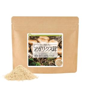 プレミアム 霊芝 180粒 (約1カ月分) 赤芝 赤霊 れいし 高濃度抽出 国産