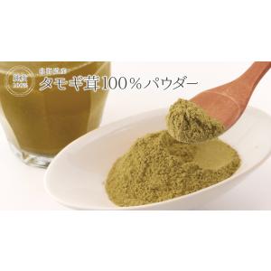 タモギ茸 北海道産 100%パウダー 160g...の詳細画像1