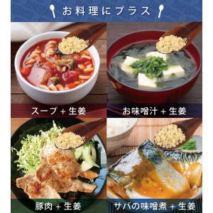 生姜 (高知県産) 無添加 100% パウダー...の詳細画像5