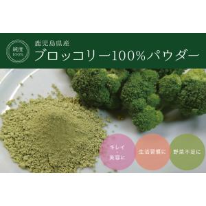 ブロッコリー 鹿児島県産 100% パウダー ...の詳細画像1