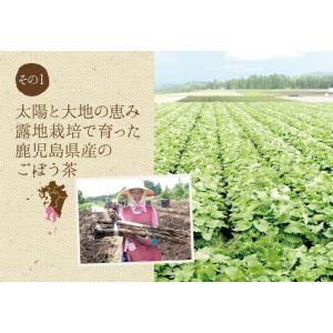 ごぼう茶(鹿児島県産) 【2g×140包】 テ...の詳細画像3