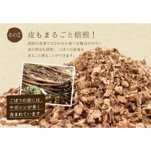 ごぼう茶(鹿児島県産) 【2g×140包】 テ...の詳細画像4