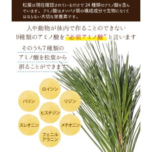 松葉茶 徳島県産 2g × 140包 ティーパ...の詳細画像4