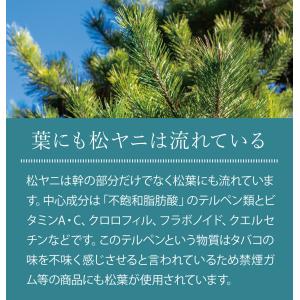 松葉茶 徳島県産 2g × 140包 ティーパ...の詳細画像5