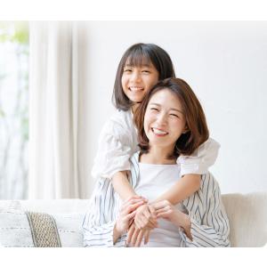スギナ茶 国産 ティーパック 2g×30包 健...の詳細画像4