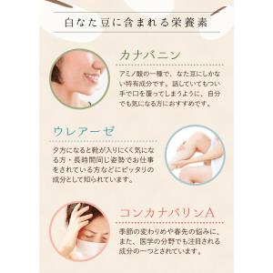 なた豆茶 国産 ティーパック 2g×120包 ...の詳細画像5