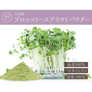 ブロッコリースプラウト 九州産 100% パウ...の詳細画像1