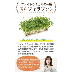 ブロッコリースプラウト 九州産 100% パウ...の詳細画像3
