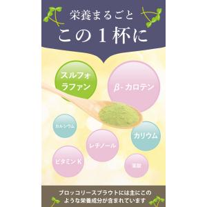 ブロッコリースプラウト 九州産 100% パウ...の詳細画像4