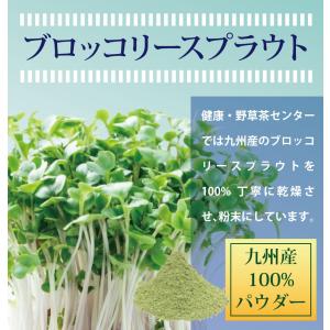 ブロッコリースプラウト 九州産 100% パウ...の詳細画像5