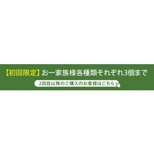 ブロッコリースプラウト 九州産 100% パウ...の詳細画像1