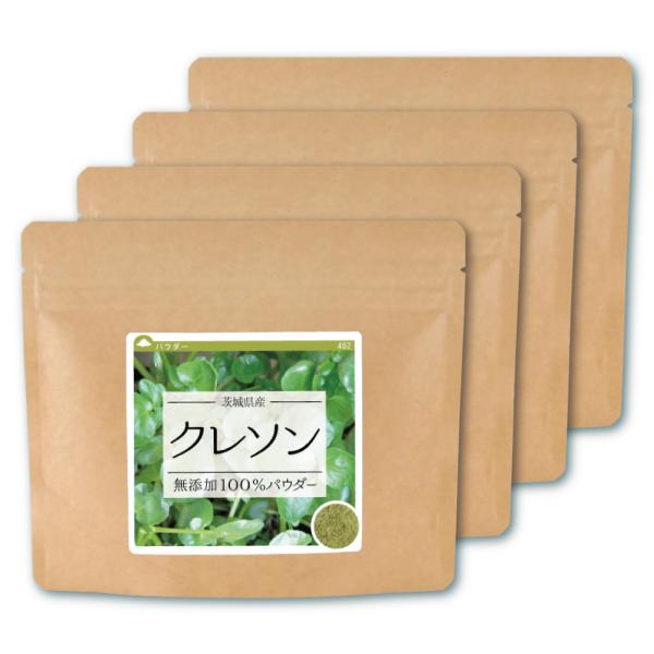 クレソン 100％ パウダー 240g （60g×4個） 茨城県産 クレソンパウダー 粉末 国産