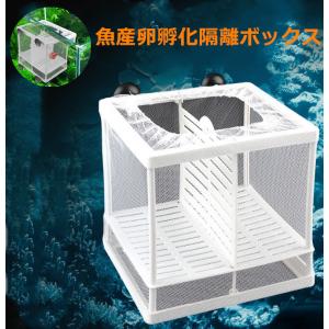 水族館　繁殖箱　sサイズ　ダブルグッピー　孵化インキュベーター　隔離ボックス　多機能