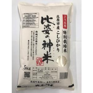 令和7年産 特別栽培米 銀の朏 岐阜県飛騨産 いのちの壱 5kg まん丸屋