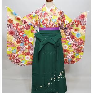 二尺袖 着物袴 フルセット 大正浪漫 袴色選択可能 着物丈はショート丈  