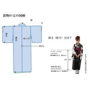 着物袴セット 猫 柄 ジュニア用 145cm〜...の詳細画像5