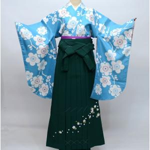 着物袴セット ジュニア用 適応身長140ｃｍ〜158ｃｍ ショート丈 卒業式にどうぞ 新品（株）安田屋 NO26805｜yasudaya529