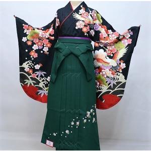 二尺袖 着物 袴フルセット 絵羽柄 鶴柄 袴変更可能 着物丈は着付けし易いショート丈