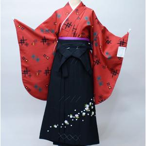 二尺袖 着物 袴 フルセット 長襦袢も含む（半衿付 着物専用）百花繚乱 